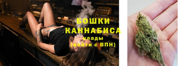 PSILOCYBIN Вязьма