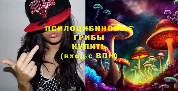 PSILOCYBIN Вязьма