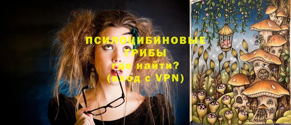 PSILOCYBIN Вязьма