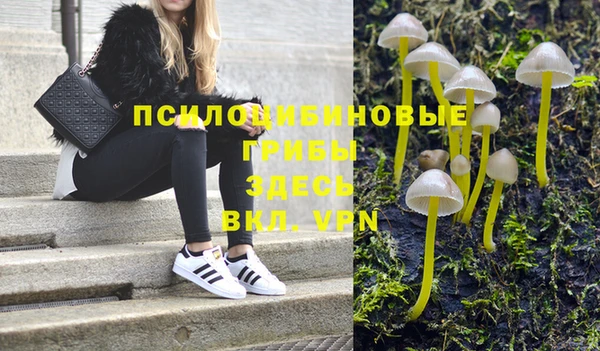 герыч Вяземский