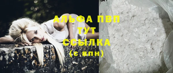 PSILOCYBIN Вязьма