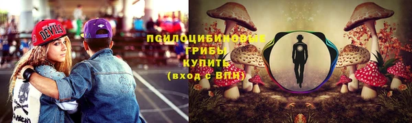ешки Вязники