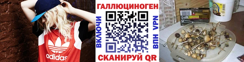 Псилоцибиновые грибы Psilocybine cubensis  Нея 